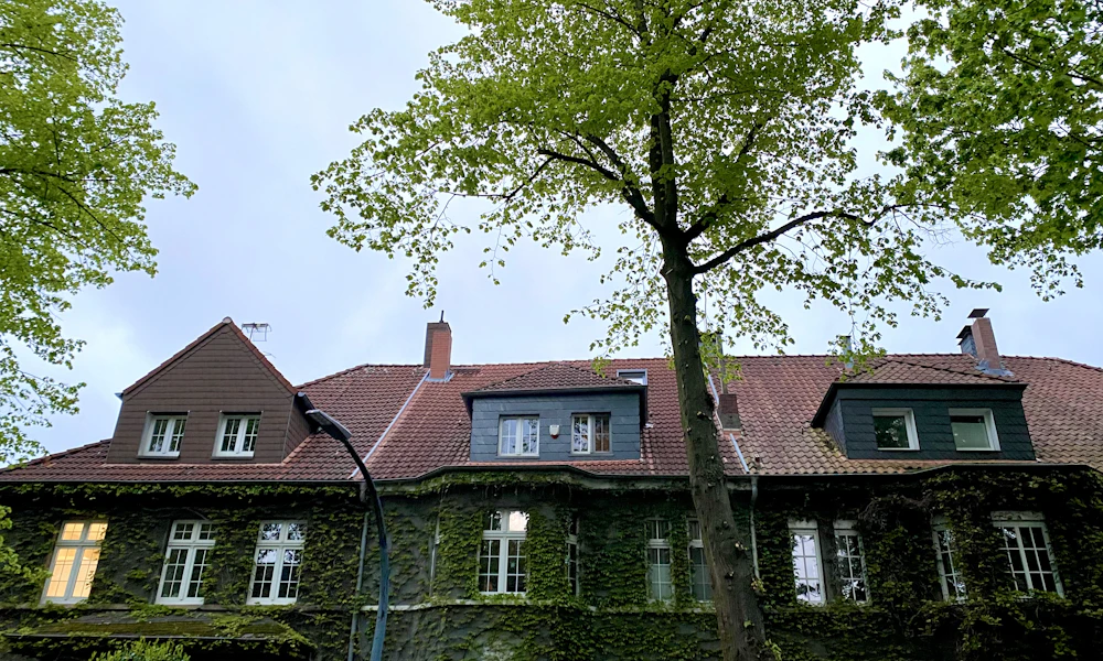 Häuserzeile mit begrünter Fassade und Ziegeldächern